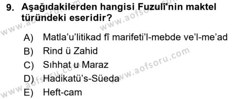 XVI. Yüzyıl Türk Edebiyatı Dersi 2022 - 2023 Yılı Yaz Okulu Sınavı 9. Soru