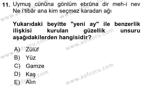 XVI. Yüzyıl Türk Edebiyatı Dersi 2023 - 2024 Yılı (Vize) Ara Sınavı 11. Soru