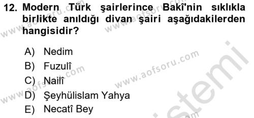 XVI. Yüzyıl Türk Edebiyatı Dersi 2023 - 2024 Yılı (Vize) Ara Sınavı 12. Soru