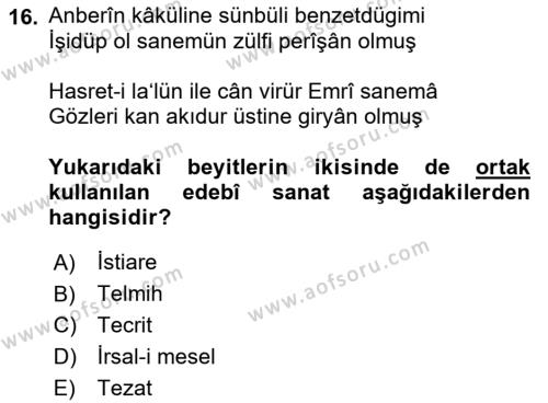 XVI. Yüzyıl Türk Edebiyatı Dersi 2023 - 2024 Yılı (Vize) Ara Sınavı 16. Soru