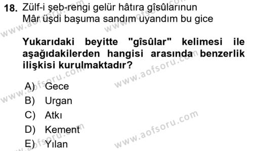 XVI. Yüzyıl Türk Edebiyatı Dersi 2023 - 2024 Yılı (Vize) Ara Sınavı 18. Soru