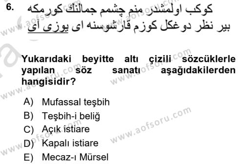 XVI. Yüzyıl Türk Edebiyatı Dersi 2023 - 2024 Yılı (Vize) Ara Sınavı 6. Soru