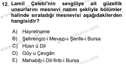 XVI. Yüzyıl Türk Edebiyatı Dersi 2023 - 2024 Yılı (Final) Dönem Sonu Sınavı 12. Soru