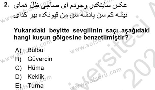 XVI. Yüzyıl Türk Edebiyatı Dersi 2023 - 2024 Yılı (Final) Dönem Sonu Sınavı 2. Soru