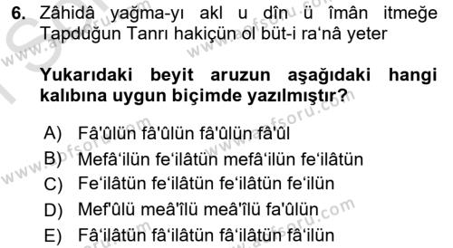 XVI. Yüzyıl Türk Edebiyatı Dersi 2023 - 2024 Yılı (Final) Dönem Sonu Sınavı 6. Soru