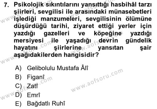 XVI. Yüzyıl Türk Edebiyatı Dersi 2023 - 2024 Yılı (Final) Dönem Sonu Sınavı 7. Soru