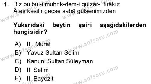 XVI. Yüzyıl Türk Edebiyatı Dersi 2023 - 2024 Yılı Yaz Okulu Sınavı 1. Soru