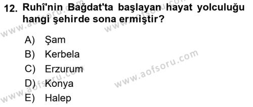 XVI. Yüzyıl Türk Edebiyatı Dersi 2023 - 2024 Yılı Yaz Okulu Sınavı 12. Soru