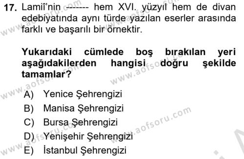 XVI. Yüzyıl Türk Edebiyatı Dersi 2023 - 2024 Yılı Yaz Okulu Sınavı 17. Soru