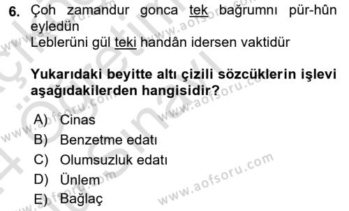 XVI. Yüzyıl Türk Edebiyatı Dersi 2023 - 2024 Yılı Yaz Okulu Sınavı 6. Soru