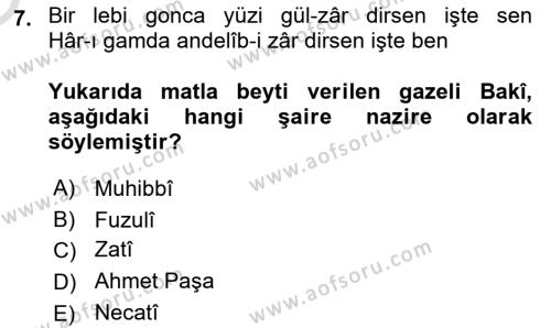 XVI. Yüzyıl Türk Edebiyatı Dersi 2023 - 2024 Yılı Yaz Okulu Sınavı 7. Soru