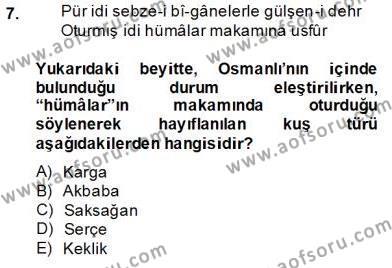 XVII. Yüzyıl Türk Edebiyatı Dersi 2013 - 2014 Yılı (Final) Dönem Sonu Sınavı 7. Soru