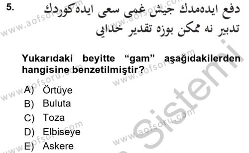 XVII. Yüzyıl Türk Edebiyatı Dersi 2016 - 2017 Yılı 3 Ders Sınavı 5. Soru