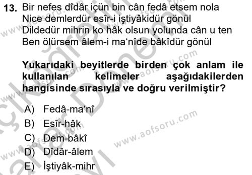 XVII. Yüzyıl Türk Edebiyatı Dersi 2016 - 2017 Yılı (Vize) Ara Sınavı 13. Soru