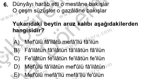 XVII. Yüzyıl Türk Edebiyatı Dersi 2016 - 2017 Yılı (Vize) Ara Sınavı 6. Soru