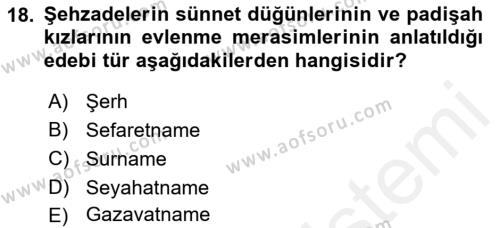 XVII. Yüzyıl Türk Edebiyatı Dersi 2017 - 2018 Yılı 3 Ders Sınavı 18. Soru