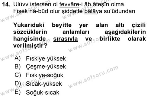 XVII. Yüzyıl Türk Edebiyatı Dersi 2017 - 2018 Yılı (Final) Dönem Sonu Sınavı 14. Soru