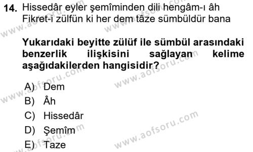 XVII. Yüzyıl Türk Edebiyatı Dersi 2018 - 2019 Yılı (Vize) Ara Sınavı 14. Soru