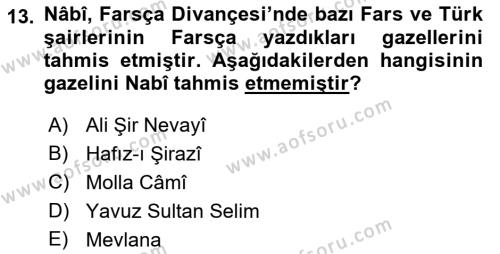 XVII. Yüzyıl Türk Edebiyatı Dersi 2018 - 2019 Yılı (Final) Dönem Sonu Sınavı 13. Soru