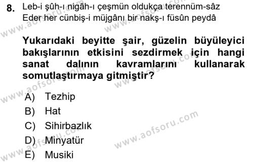 XVII. Yüzyıl Türk Edebiyatı Dersi 2018 - 2019 Yılı (Final) Dönem Sonu Sınavı 8. Soru