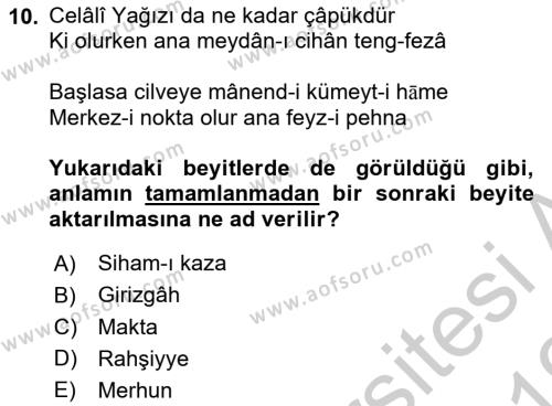 XVII. Yüzyıl Türk Edebiyatı Dersi 2018 - 2019 Yılı Yaz Okulu Sınavı 10. Soru