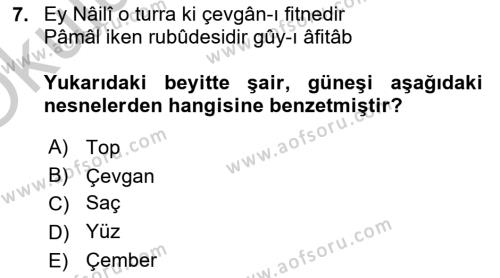 XVII. Yüzyıl Türk Edebiyatı Dersi 2018 - 2019 Yılı Yaz Okulu Sınavı 7. Soru