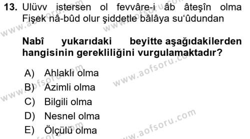 XVII. Yüzyıl Türk Edebiyatı Dersi 2020 - 2021 Yılı Yaz Okulu Sınavı 13. Soru