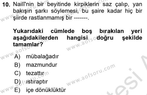 XVII. Yüzyıl Türk Edebiyatı Dersi 2021 - 2022 Yılı Yaz Okulu Sınavı 10. Soru