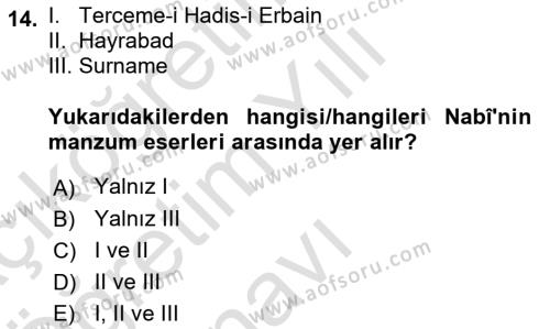 XVII. Yüzyıl Türk Edebiyatı Dersi 2021 - 2022 Yılı Yaz Okulu Sınavı 14. Soru