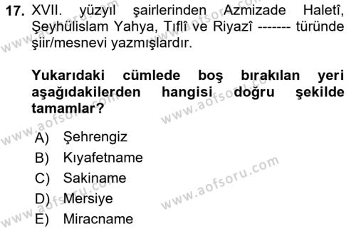 XVII. Yüzyıl Türk Edebiyatı Dersi 2021 - 2022 Yılı Yaz Okulu Sınavı 17. Soru