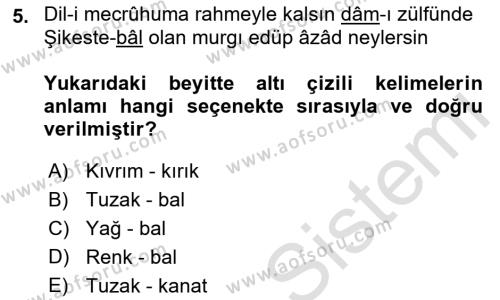 XVII. Yüzyıl Türk Edebiyatı Dersi 2021 - 2022 Yılı Yaz Okulu Sınavı 5. Soru