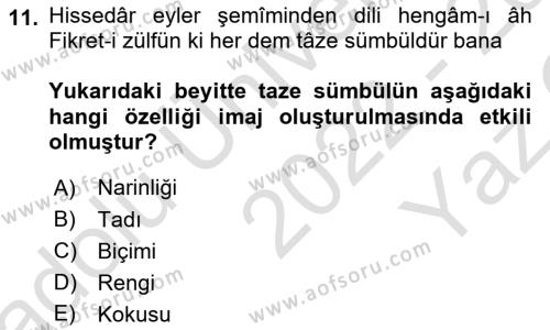 XVII. Yüzyıl Türk Edebiyatı Dersi 2022 - 2023 Yılı Yaz Okulu Sınavı 11. Soru