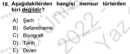 XVII. Yüzyıl Türk Edebiyatı Dersi 2022 - 2023 Yılı Yaz Okulu Sınavı 18. Soru