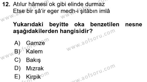 XVII. Yüzyıl Türk Edebiyatı Dersi 2023 - 2024 Yılı (Vize) Ara Sınavı 12. Soru