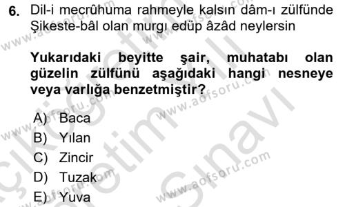 XVII. Yüzyıl Türk Edebiyatı Dersi 2023 - 2024 Yılı (Vize) Ara Sınavı 6. Soru