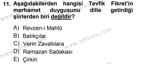 2. Abdülhamit Dönemi Türk Edebiyatı Dersi 2013 - 2014 Yılı (Vize) Ara Sınavı 11. Soru
