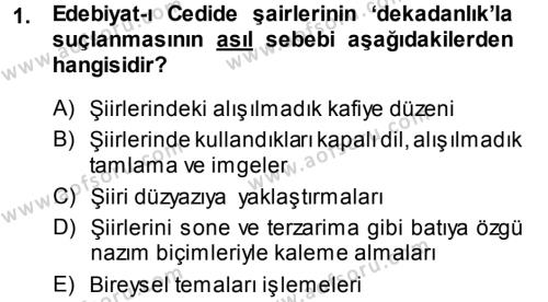 2. Abdülhamit Dönemi Türk Edebiyatı Dersi 2013 - 2014 Yılı (Final) Dönem Sonu Sınavı 1. Soru