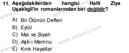 2. Abdülhamit Dönemi Türk Edebiyatı Dersi 2013 - 2014 Yılı (Final) Dönem Sonu Sınavı 11. Soru