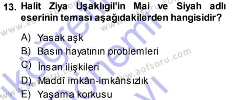 2. Abdülhamit Dönemi Türk Edebiyatı Dersi 2013 - 2014 Yılı (Final) Dönem Sonu Sınavı 13. Soru