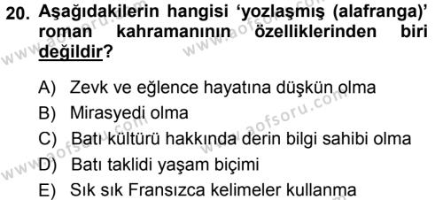 2. Abdülhamit Dönemi Türk Edebiyatı Dersi 2013 - 2014 Yılı (Final) Dönem Sonu Sınavı 20. Soru