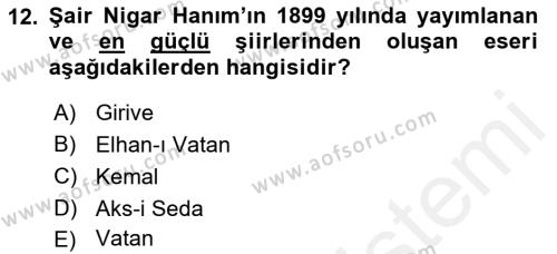 2. Abdülhamit Dönemi Türk Edebiyatı Dersi 2018 - 2019 Yılı (Final) Dönem Sonu Sınavı 12. Soru