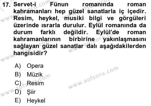 2. Abdülhamit Dönemi Türk Edebiyatı Dersi 2018 - 2019 Yılı (Final) Dönem Sonu Sınavı 17. Soru