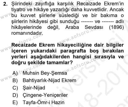 2. Abdülhamit Dönemi Türk Edebiyatı Dersi 2018 - 2019 Yılı (Final) Dönem Sonu Sınavı 2. Soru