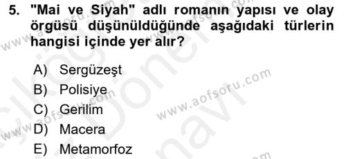 2. Abdülhamit Dönemi Türk Edebiyatı Dersi 2018 - 2019 Yılı (Final) Dönem Sonu Sınavı 5. Soru