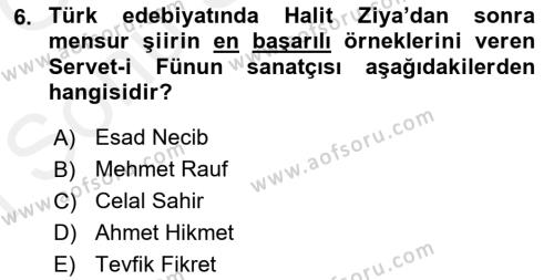 2. Abdülhamit Dönemi Türk Edebiyatı Dersi 2018 - 2019 Yılı (Final) Dönem Sonu Sınavı 6. Soru