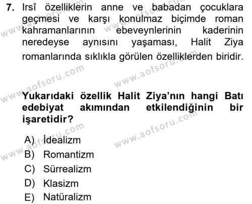 2. Abdülhamit Dönemi Türk Edebiyatı Dersi 2018 - 2019 Yılı (Final) Dönem Sonu Sınavı 7. Soru