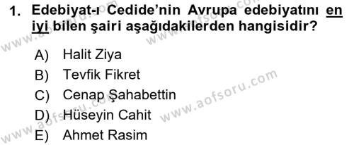 2. Abdülhamit Dönemi Türk Edebiyatı Dersi 2018 - 2019 Yılı Yaz Okulu Sınavı 1. Soru