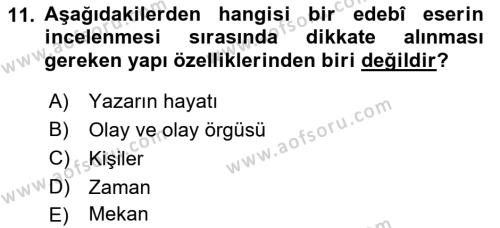 2. Abdülhamit Dönemi Türk Edebiyatı Dersi 2018 - 2019 Yılı Yaz Okulu Sınavı 11. Soru