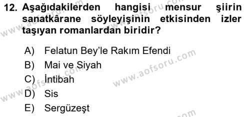 2. Abdülhamit Dönemi Türk Edebiyatı Dersi 2018 - 2019 Yılı Yaz Okulu Sınavı 12. Soru