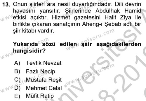 2. Abdülhamit Dönemi Türk Edebiyatı Dersi 2018 - 2019 Yılı Yaz Okulu Sınavı 13. Soru